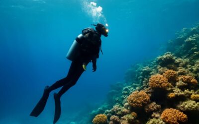 When panic strikes: scuba diving the bends and the fight to surface