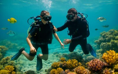Experience paradise with diving course boracay for all levels
