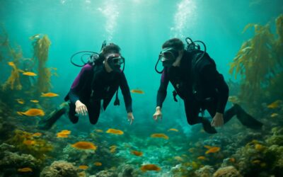 dive course whitianga: Discover reef wonders with expert instruction