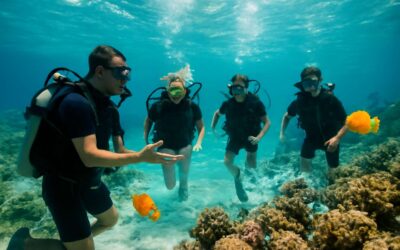 Discover the thrill of dive course rarotonga and unlock pristine underwater wonder.