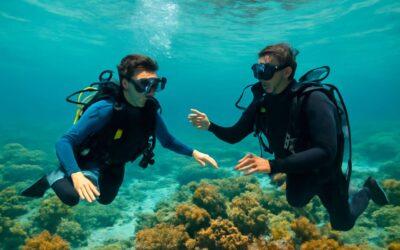 Adventure Awaits: scuba diving course zanzibar for Beginners and Pros