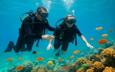 Dive into vibrant reefs with a honduras diving course – your ultimate underwater adventure