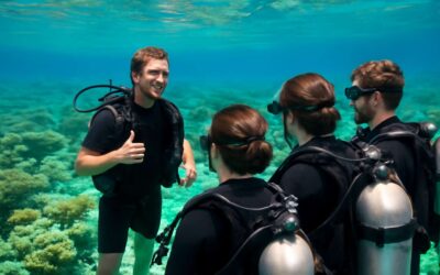 Dive into adventure with dive course hamilton island, your gateway to coral paradise.