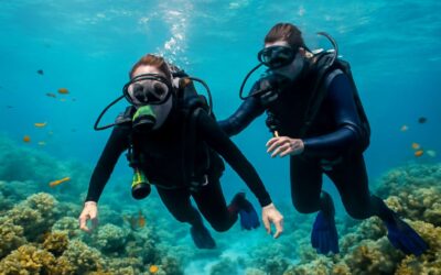 Embark on a dive course fiji: unlock vibrant reefs and expert-led adventures