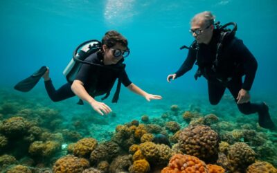 Dive into adventure with diving course gili islands – learn, explore, and certify.