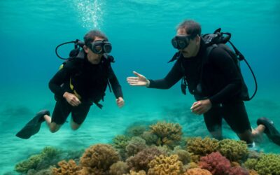 Unlock your ocean adventure with diving course near singapore, beginner-friendly dives await