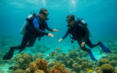 Dive into crystal reefs with the bahamas diving course – certification and adventure await
