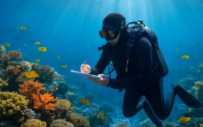 Dive Log Essentials: scuba diving underwater notebook for epic ocean adventures